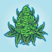 1G OF FLOWER
