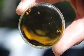 Bhg - EXTRACT OIL 001