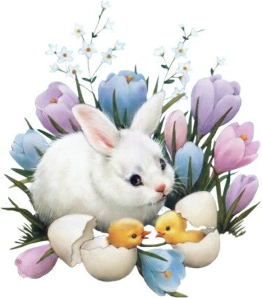 Ts-sl-brand-1-30122021 - TS-SL-MENU-1-30122021