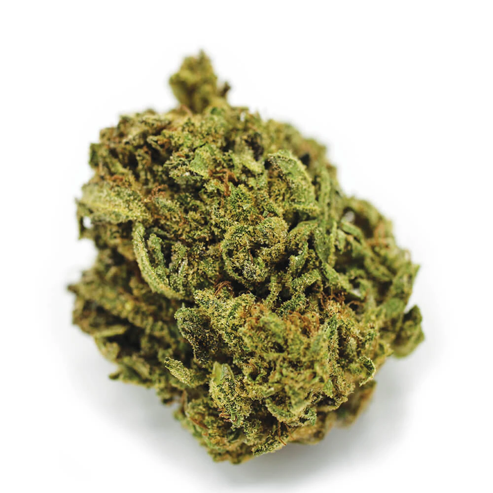 Ember - Ember Test -Mar 06 2023 10:56:13