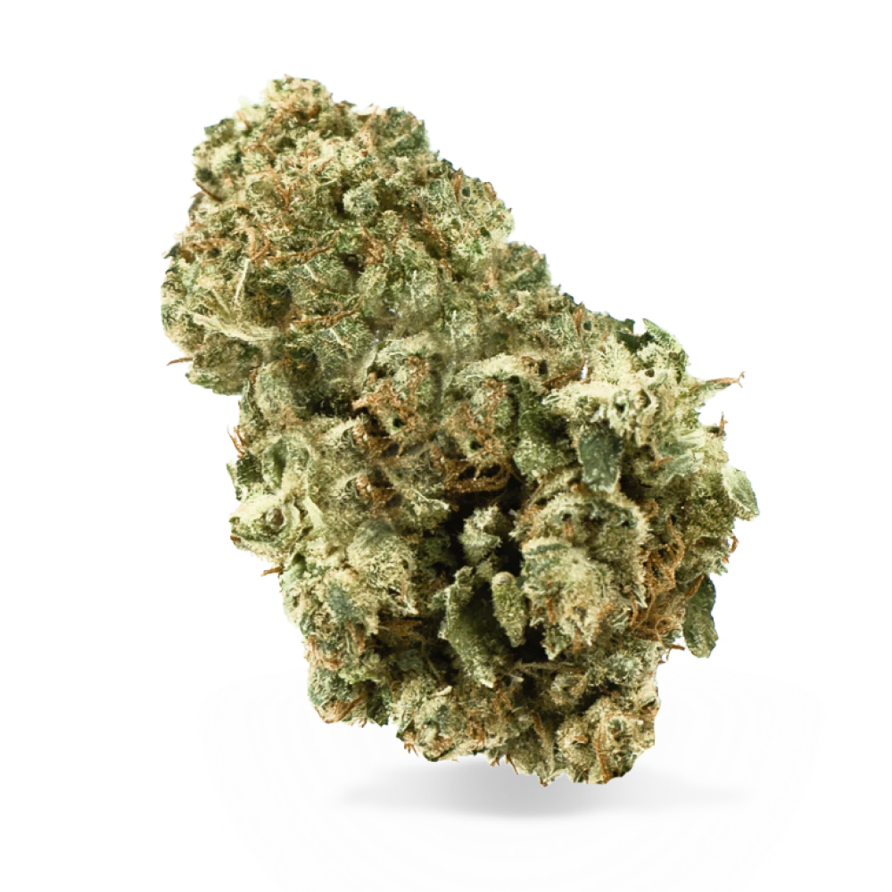 J carrot - J CARROT FLOWER 1